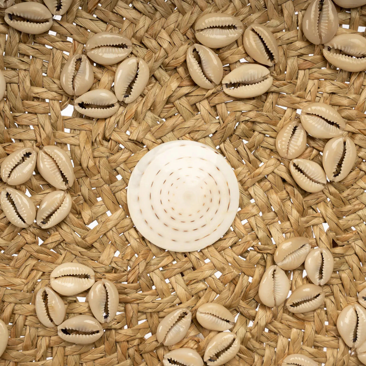 Bazarbizar-The Caribe Shell Plate - Natural White - M