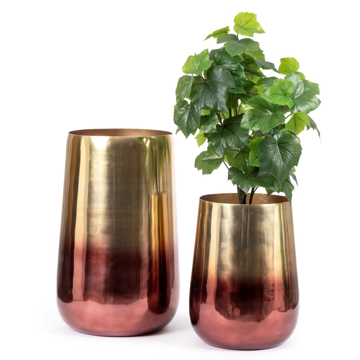 Bazarbizar-The Two Tone Brass Planter - Brass - L