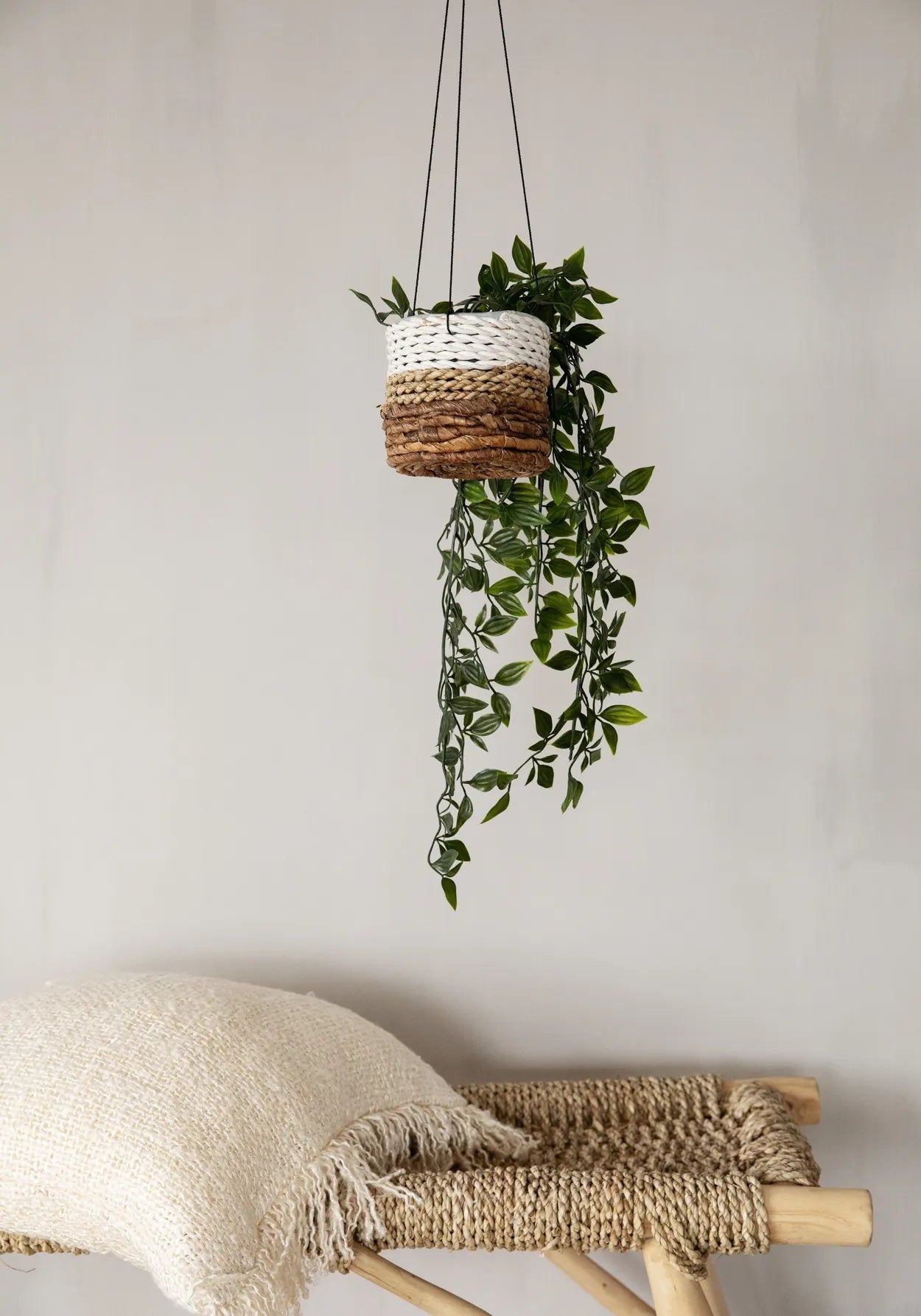 Bazarbizar-The Banana Plant Hanger - Natural White - S