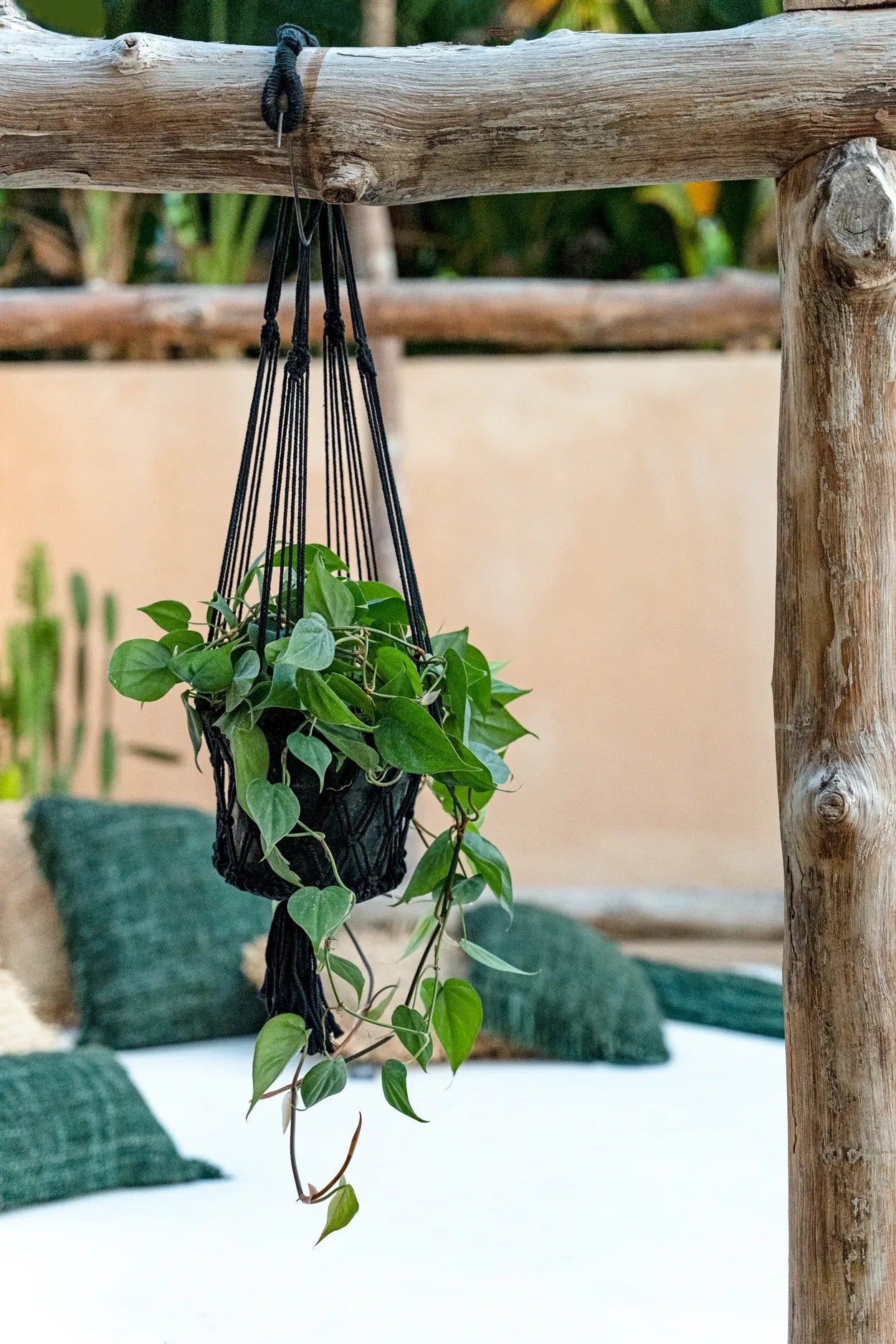 Bazarbizar-The Macrame Plant Holder - Black - S