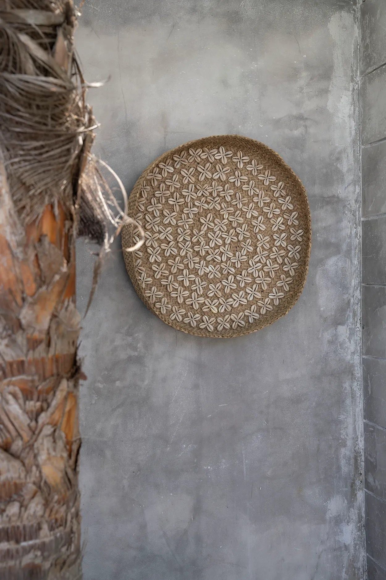 Bazarbizar-The Costa Shell Plate - Natural White - M