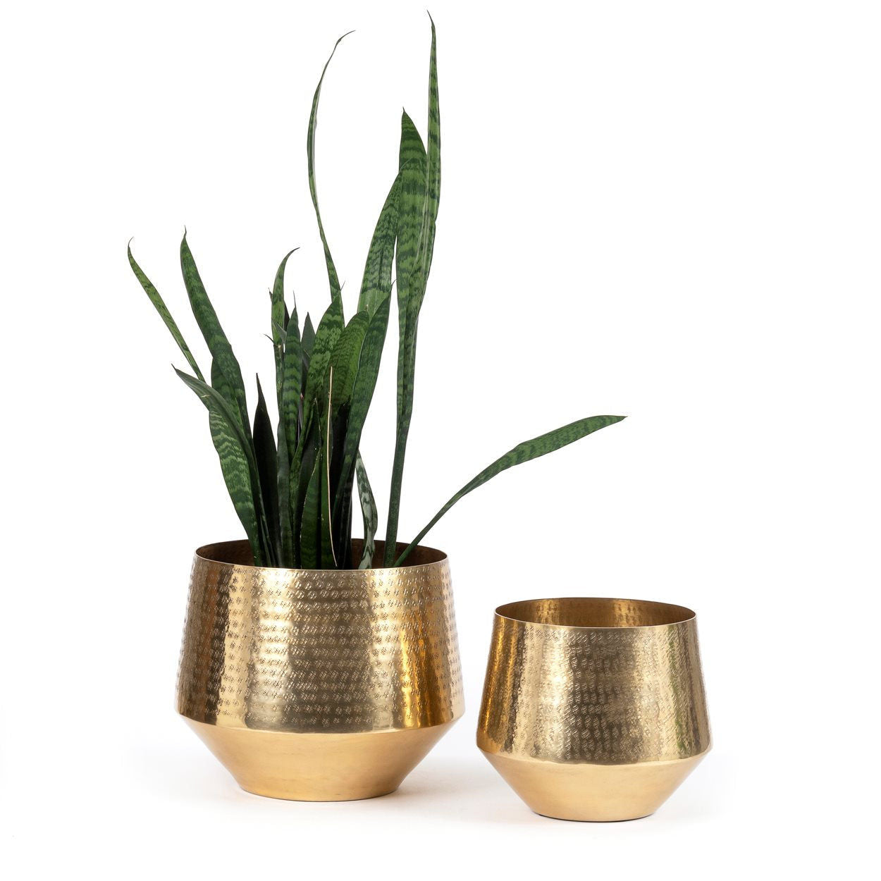 Bazarbizar-The Hammered Planter - Brass - XL