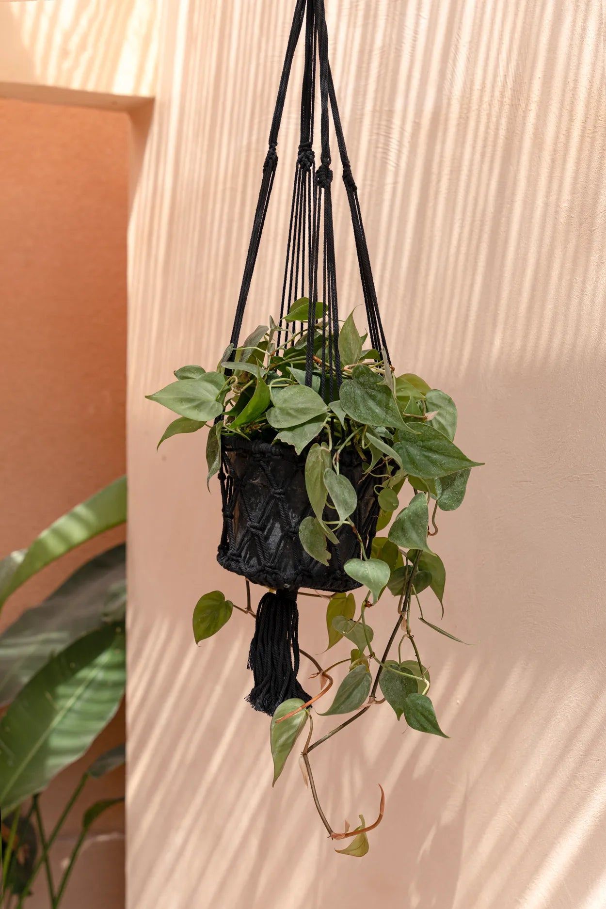 Bazarbizar-The Macrame Plant Holder - Black - M