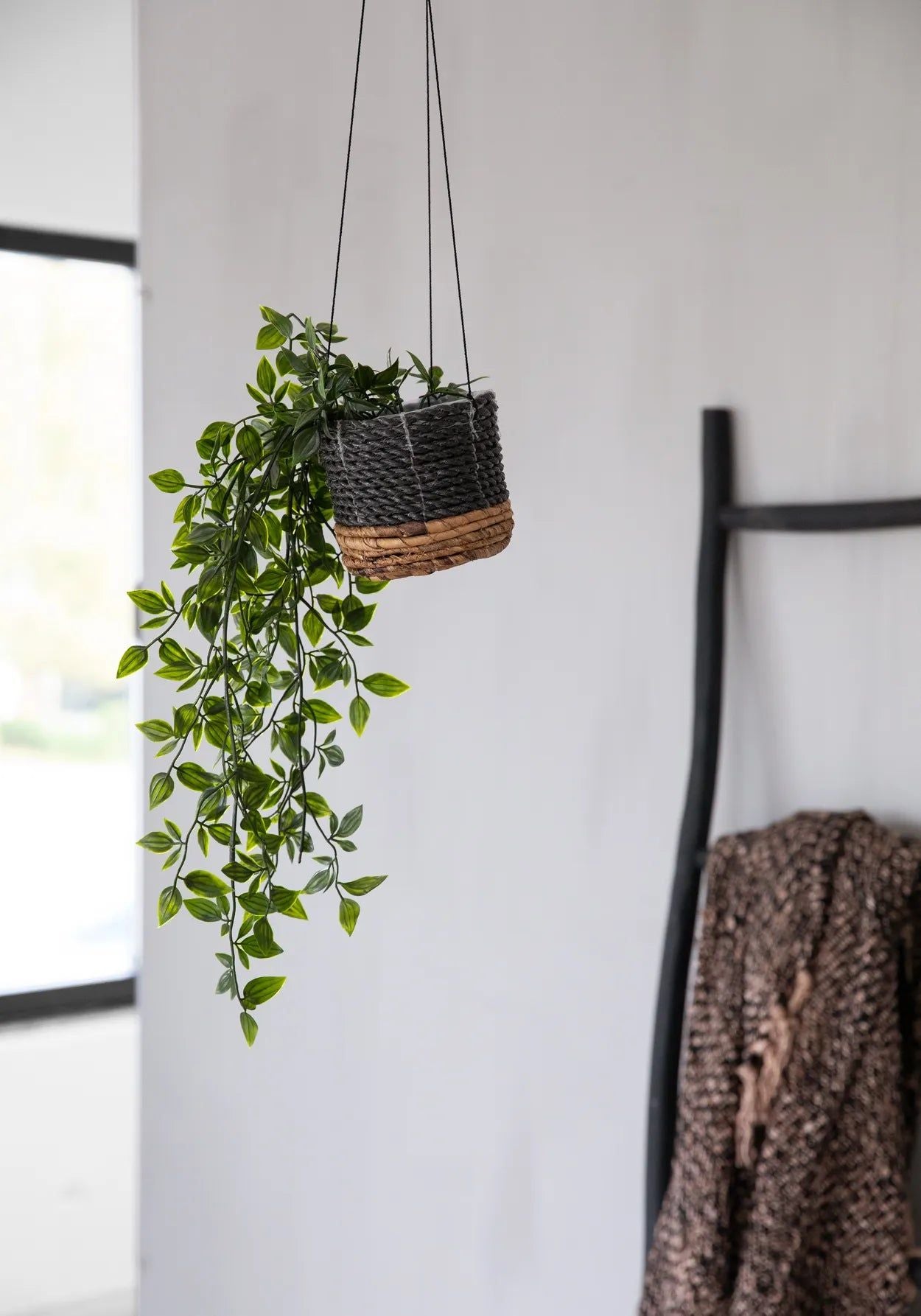 Bazarbizar-The Banana Plant Hanger - Natural Black - S