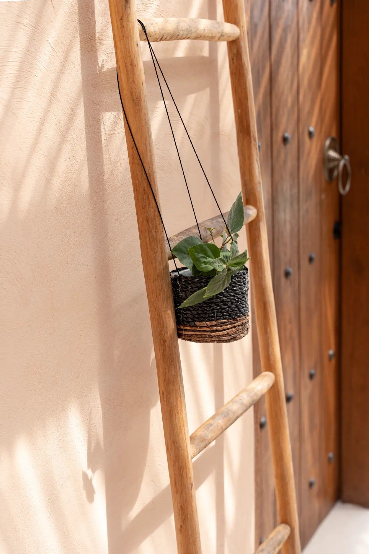 Bazarbizar-The Banana Plant Hanger - Natural Black - S