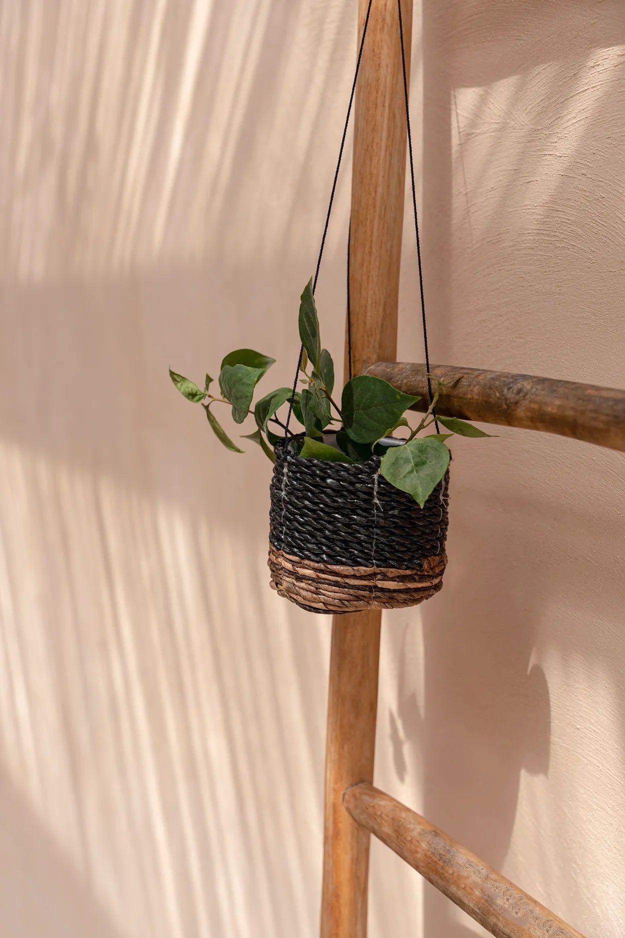 Bazarbizar-The Banana Plant Hanger - Natural Black - S