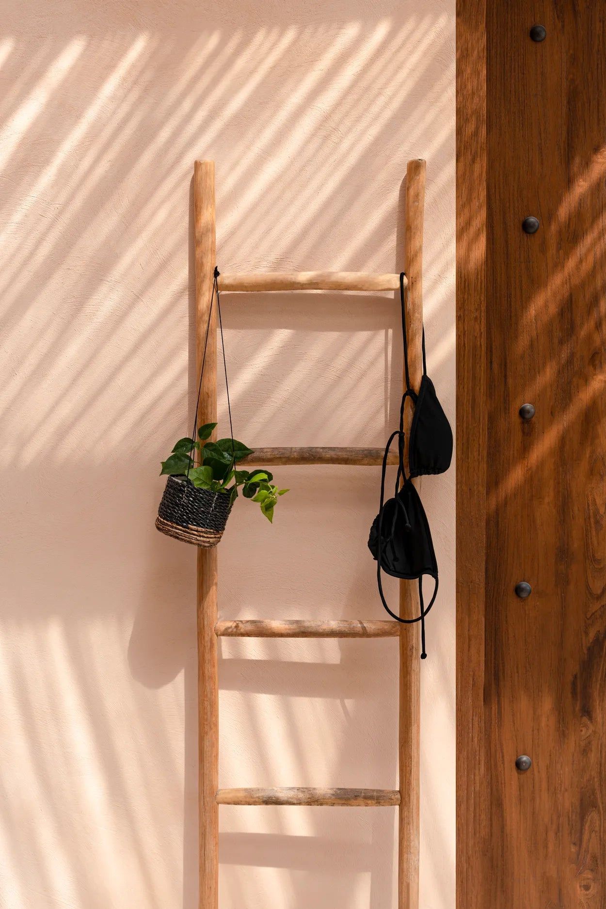 Bazarbizar-The Banana Plant Hanger - Natural Black - S