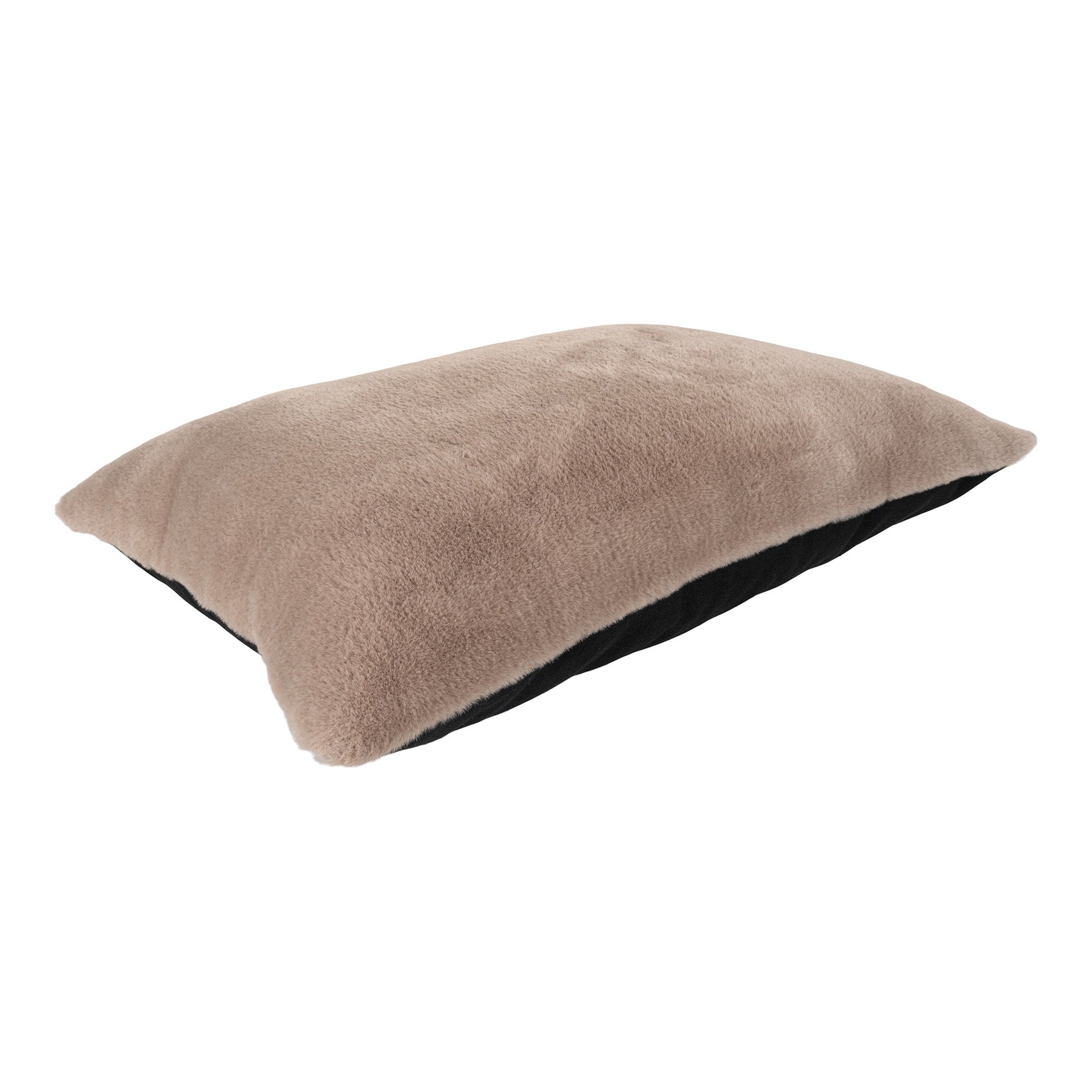 Evora Cushion