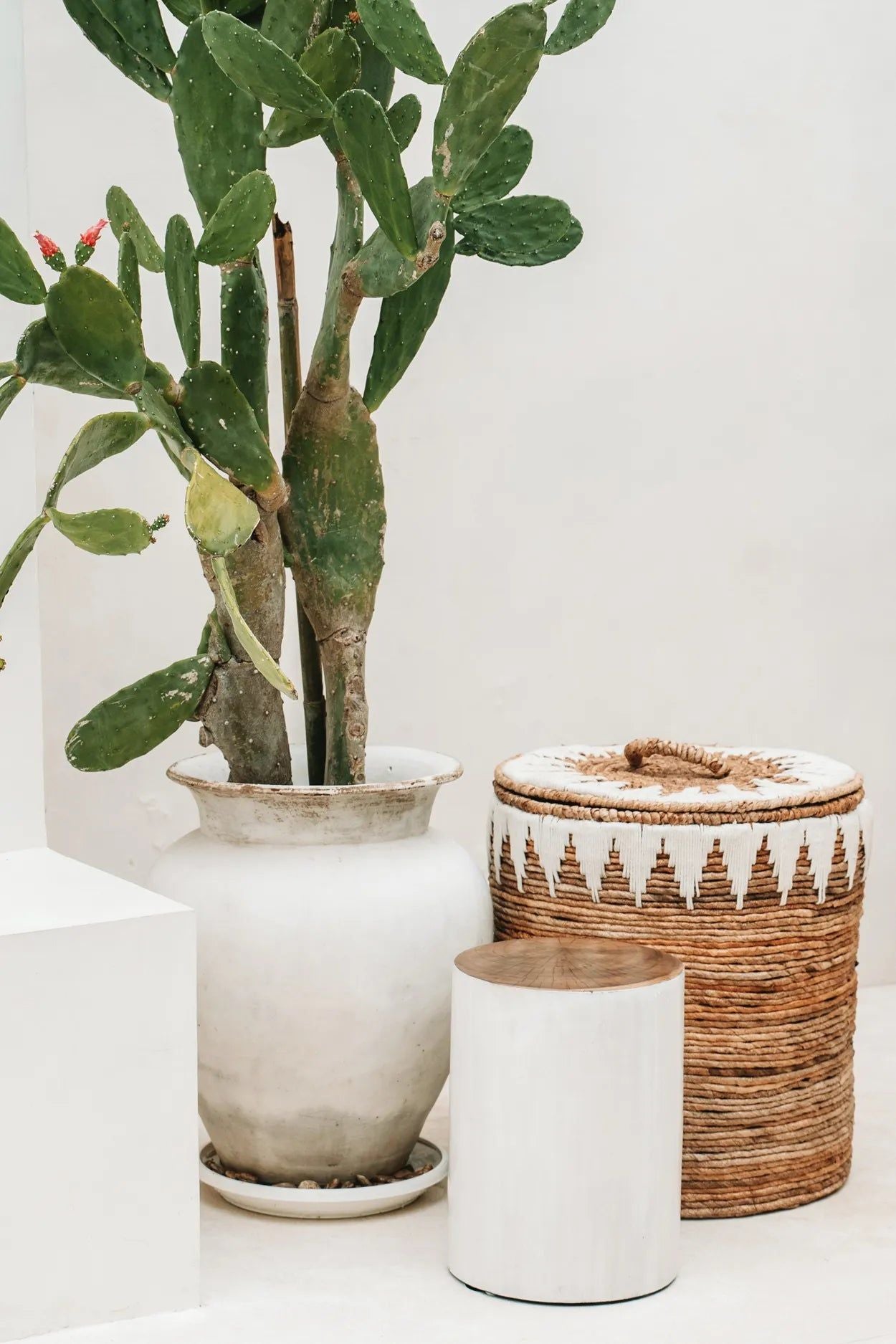 Bazarbizar-The Tribe Stool - Natural White