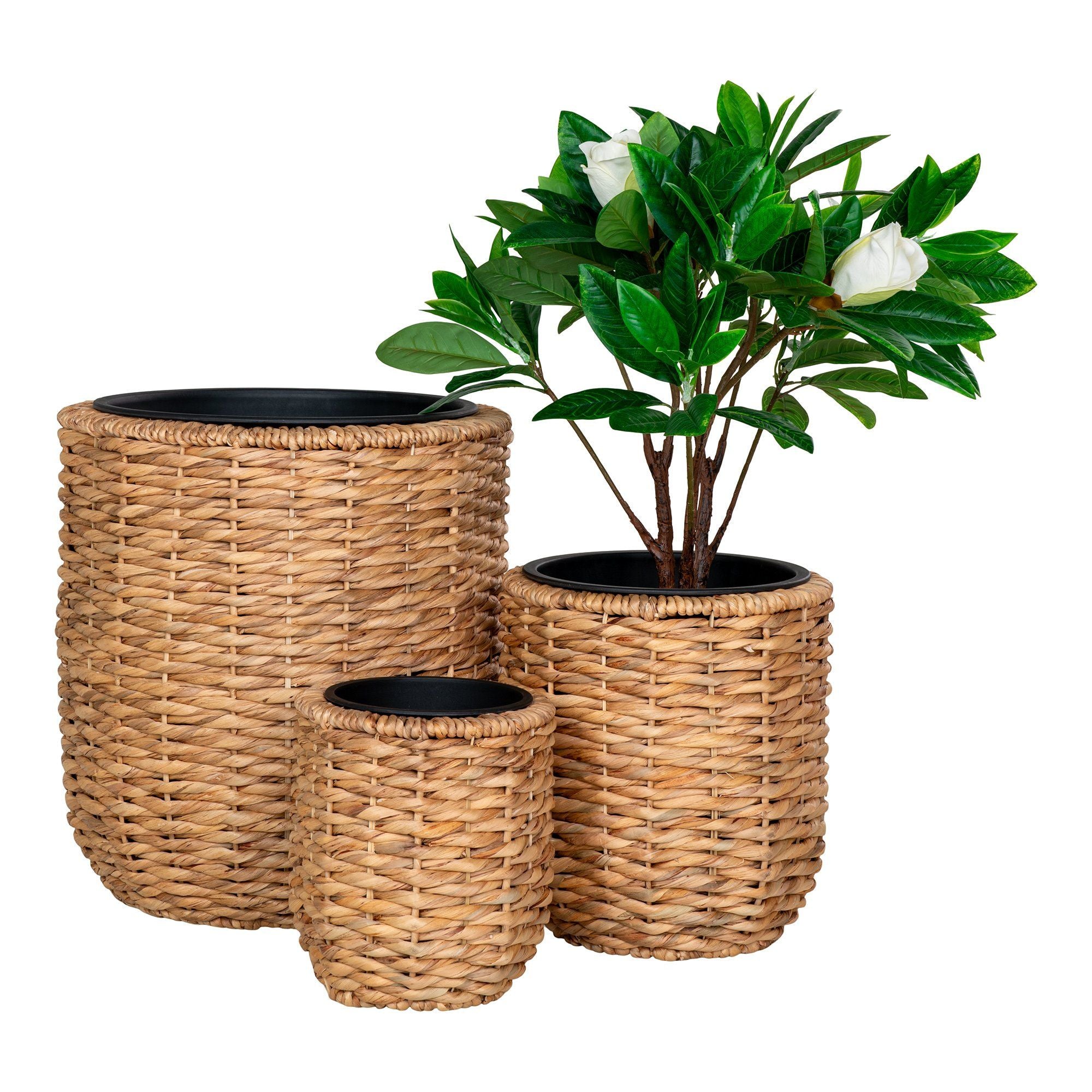 Hanoi Planter