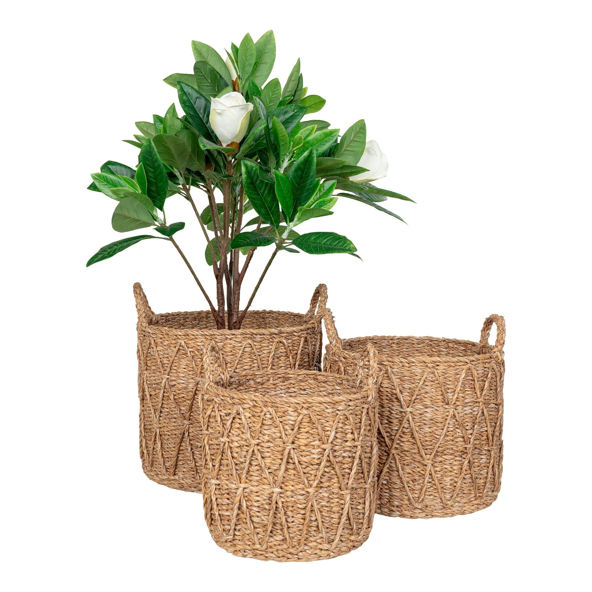 Krabi Basket