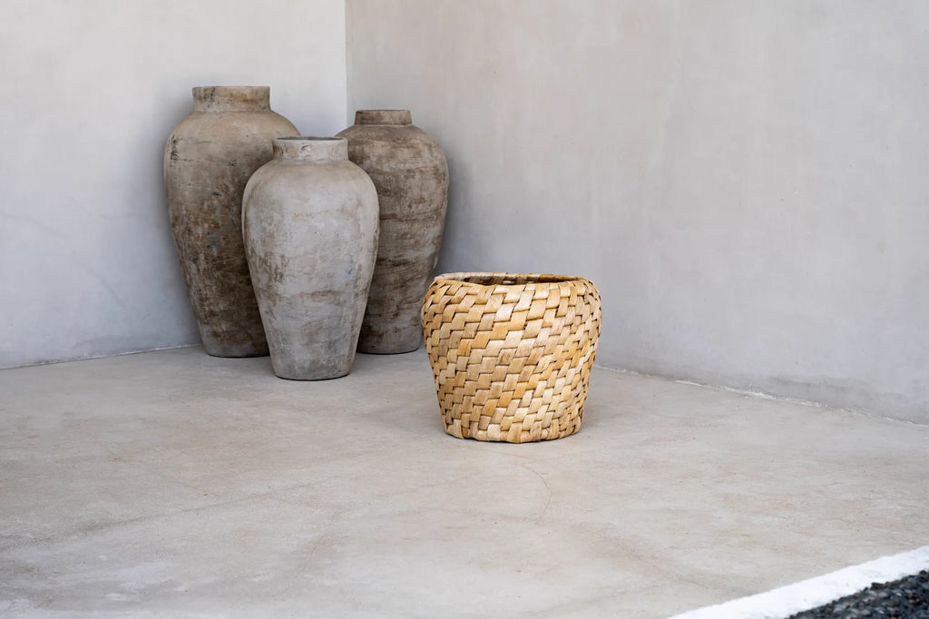 The Chidi Basket