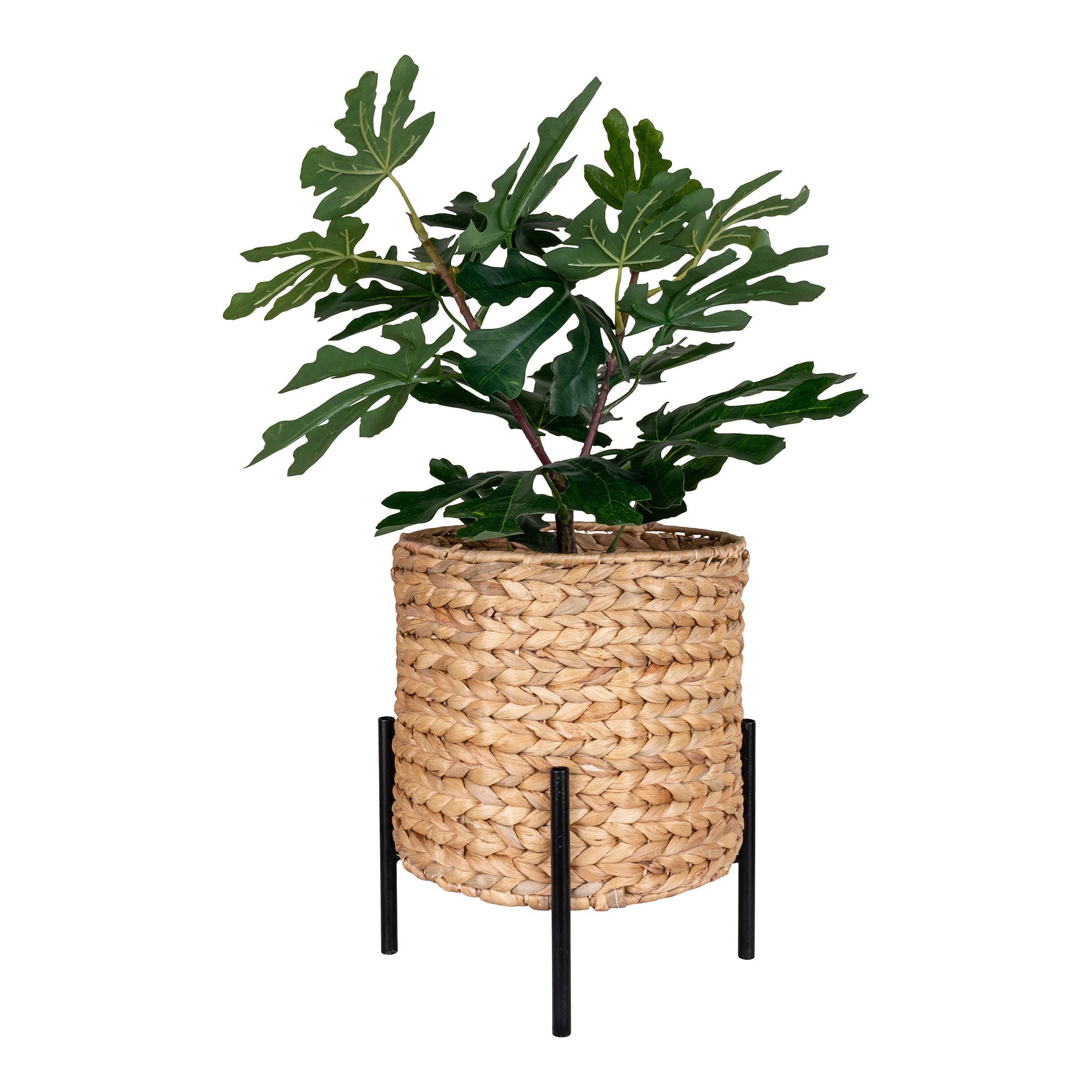 Antas Planter